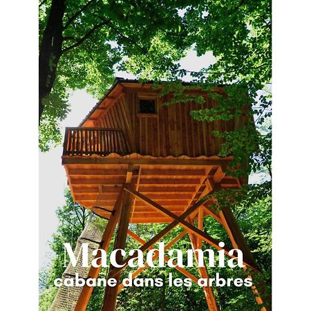 Les Cabanes De Fontfroide Saint-Antoine  Extérieur photo
