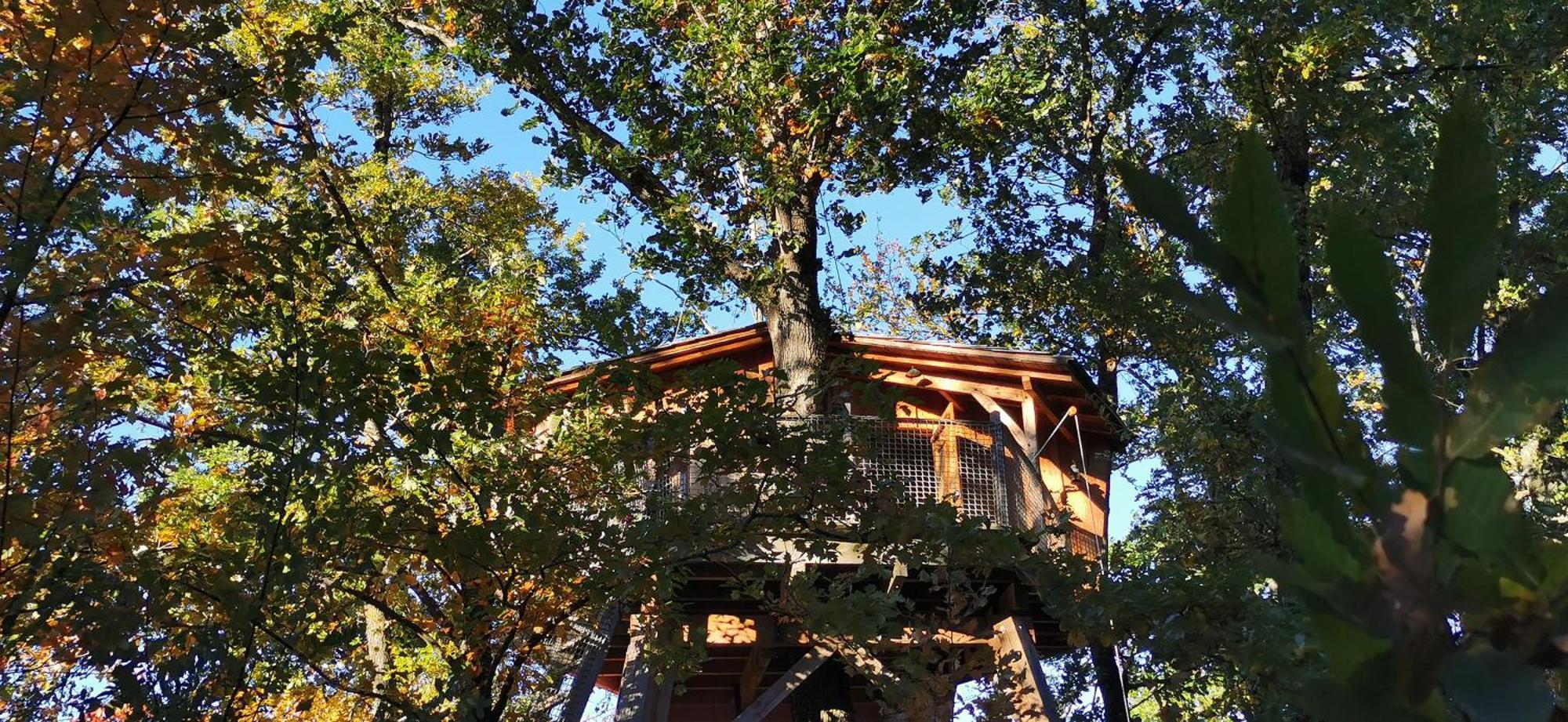 Les Cabanes De Fontfroide Saint-Antoine  Extérieur photo